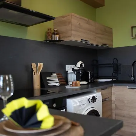 Coin De Nature En Centre-ville Apartment Troyes
