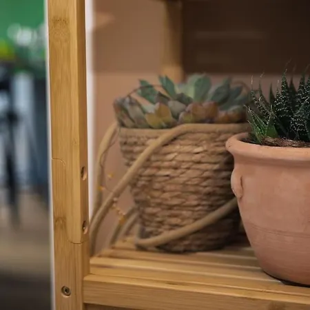 Coin De Nature En Centre-ville *