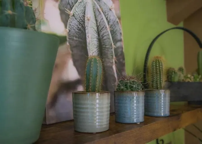 Apartment Coin De Nature En Centre-ville