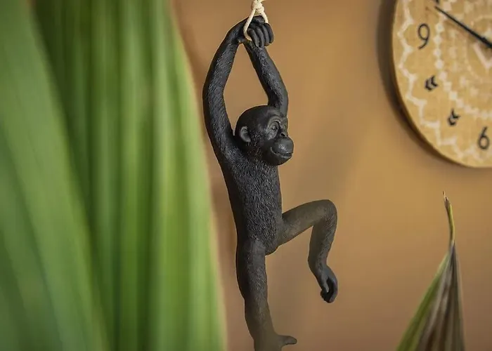 Coin De Nature En Centre-ville Apartment