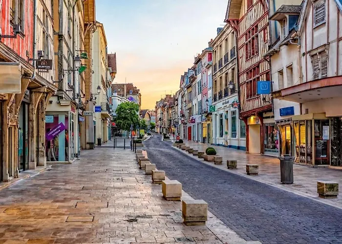 Coin De Nature En Centre-ville Troyes